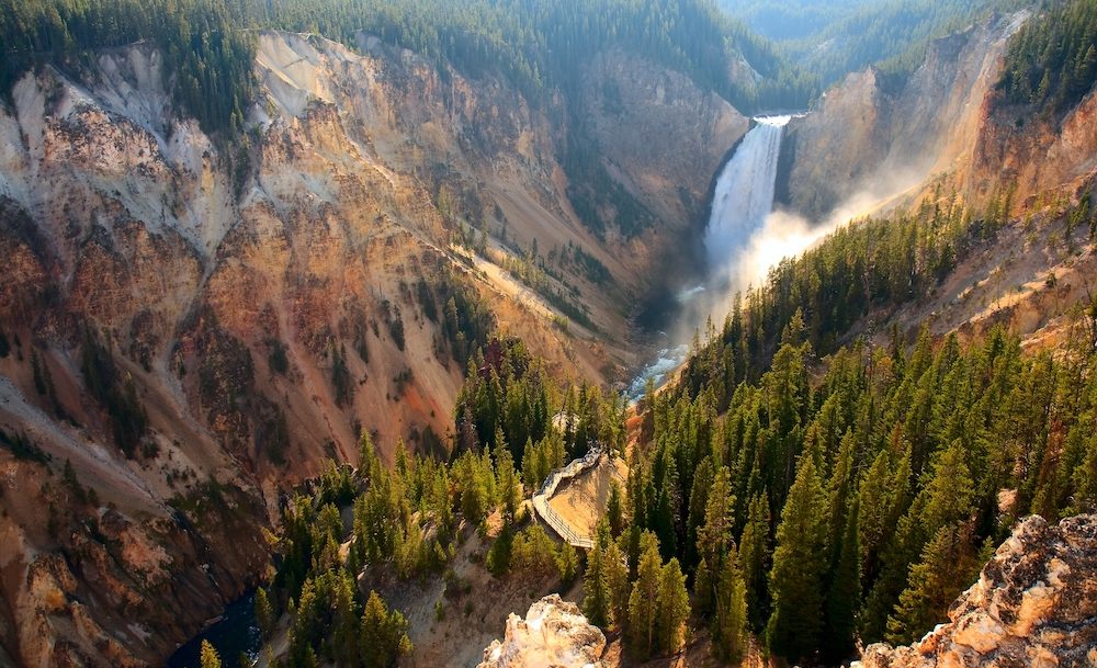 canyon in Yellowstone National Park