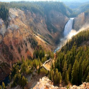 canyon in Yellowstone National Park