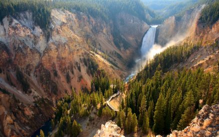 canyon in Yellowstone National Park