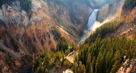 canyon in Yellowstone National Park